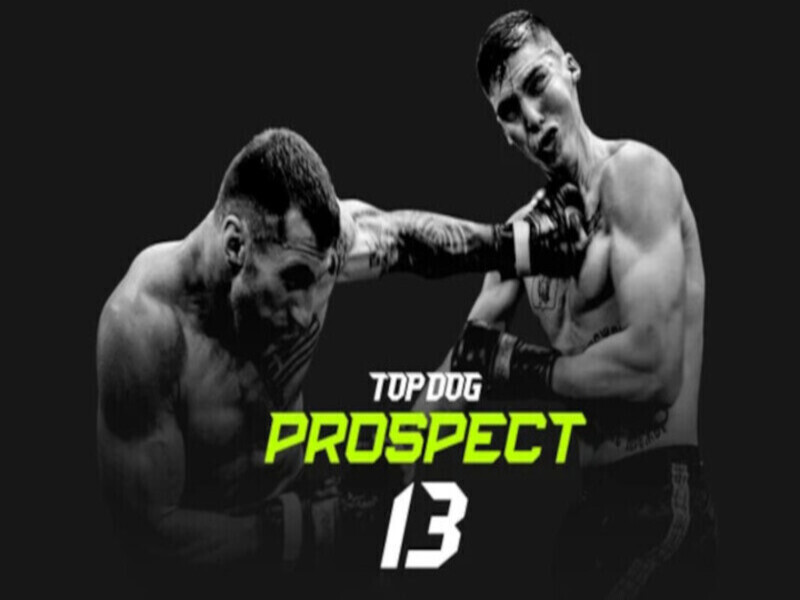 Top Dog: Prospect 13 Прямая трансляция